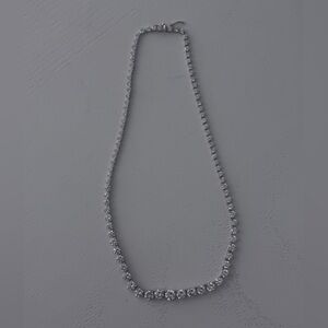 3/20$ Silver Necklace